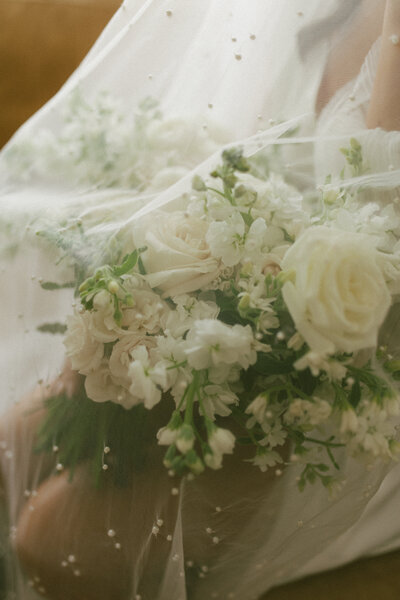 bride and groom embracing under veil