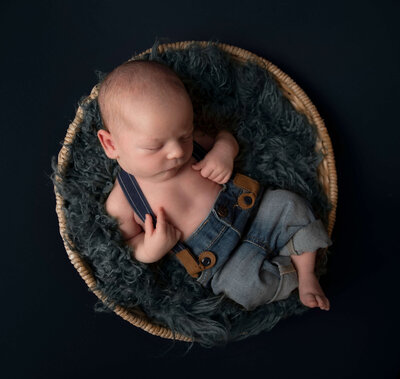 Photo of newborn in a basket in an Erie Pa photography studio