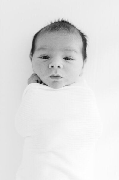 minneapolis-newborn-photographer-bauer-creative (26)