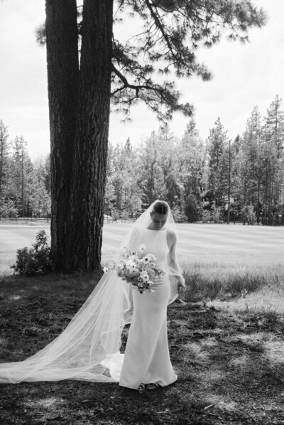 Sydnee Marie Photography -- Edgewood Lake Tahoe California Wedding -- D + R -- FILM-7