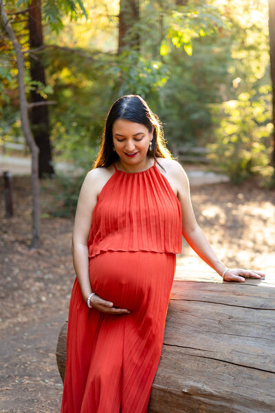 Expecting mother in an orange dress holding her belly during golden hour in the woods – Bay Area Photographer Pricing – Ellobelle Photography