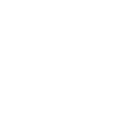 Shelbi Nicole Imagery Logo | Equine, Pet, Senior, & Brand Photography