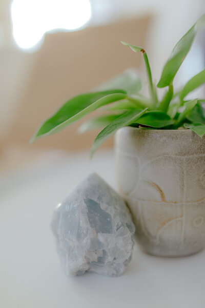 Close-up of a leafy green plant in a neutral pot beside a celestite crystal with warm sunlight in the background - Life Coach - Susie Schumacher