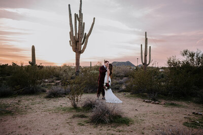 newly weds by a large cactus in the desert at sunset