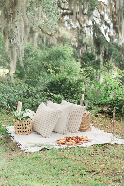 Charleston Proposal Photographer | Laura and Rachel Photography