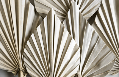 Match your website to your new premium brand using a premium Showit website template from The Template Emporium.