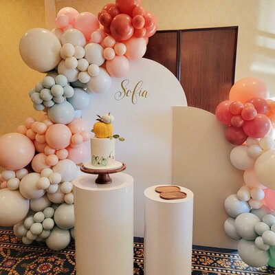 Backdrop and décor rentals setup for a girl baby party by Raleigh Balloons, Event Décor and Rentals
