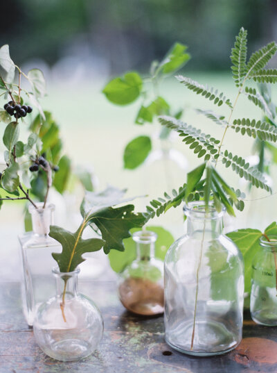jars of floral greens by brand photographer studio soma in madison wisconsin