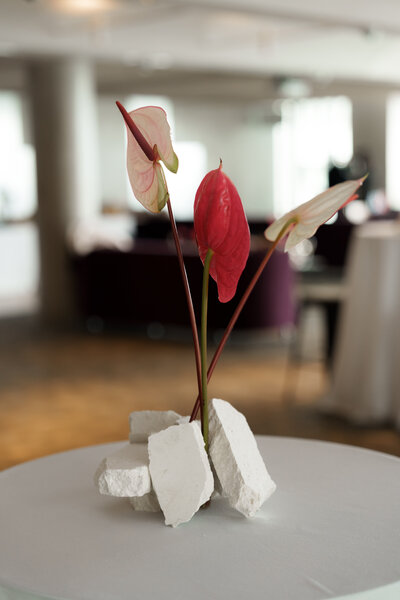 12 micron sydney watermans room Wedding styling wedding planning wedding coordination wedding flowers Sydney weddings luxury weddings Sydney Australia wedding Sydney wedding planner destination wedding planner Australia high end wedding Sydney wedding styling ideas wedding decor inspiration Inspo wedding organiser wedding organizer How to plan a wedding wedding planning tips wedding planning advice how much does it cost to get married in Sydney things to do when wedding planning wedding planner book joy wedding website wedding venue recommendations Sydney