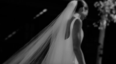 550park-luxury-wedding-films-d_bzzKt5D4U-unsplash