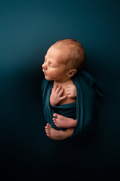 pittsburgh newborn studio photographer