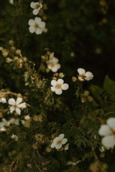 documentary wedding photographer