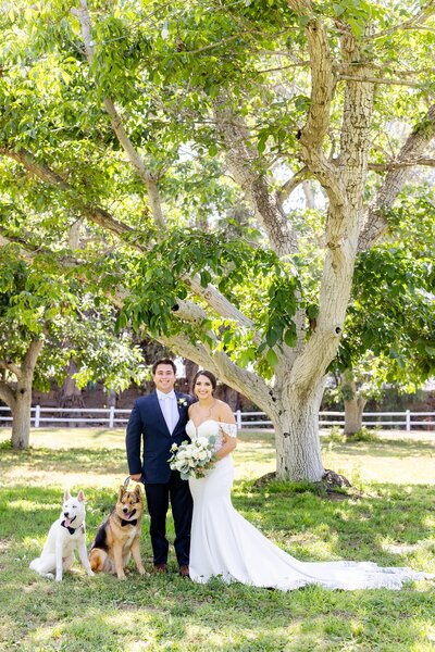 walnut grove wedding portrait with dogs