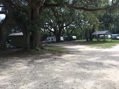 A sandy path winds through a peaceful Mayo, Florida campground, where several RVs and a cozy cabin nestle under large, leafy trees. A picnic table with a roof graces the grassy area on the right. Enjoy the calm and shaded atmosphere while exploring Lafayette County's charm.