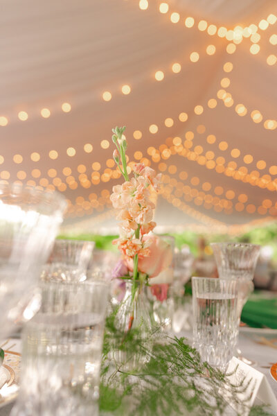 Great Fall Virginia Backyard Wedding in the Spring in DC