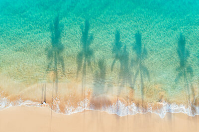 Palm tree shadows reflected in the sand and water of a Maui beach