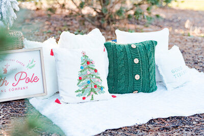 Naperville Holiday Mini Sessions-8209