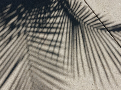 Weddings_by_Susan_Dunne_Luxury_Wedding_Planner_Wedding_venue_San_diego_Luxury_estate__0201