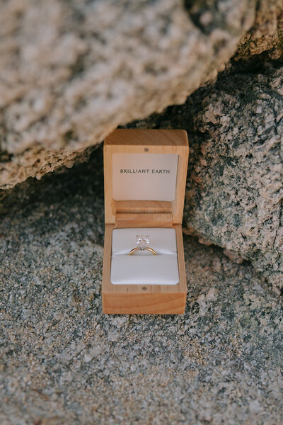 Big Sur Proposal D+E-39_websize