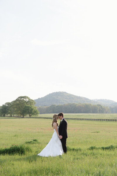 Bride and groom stand in a field with a mountain in the distance