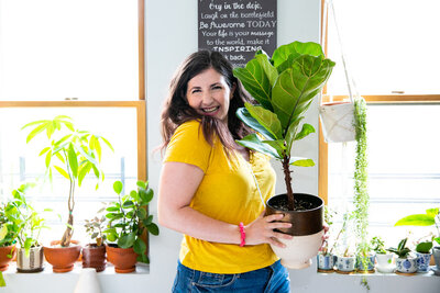 High-Light-Fiddle-Leaf-Fig