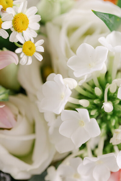 chesapeake bay beach club wedding photographer