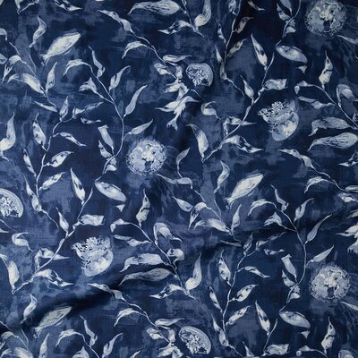Kelp-Forest-Depths-sm_1080x