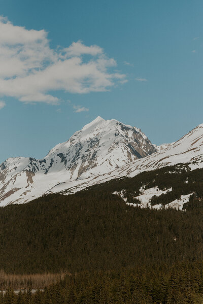 Denali National Park Elopement