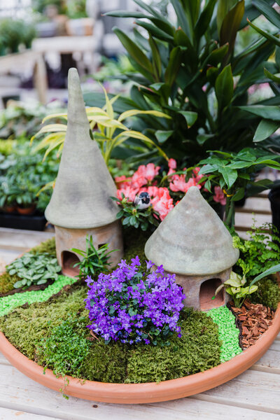 Pete's Greenhouse in Amarillo, Texas will provide you with expert information gleaned from decades of hard work and close observation. Not only are we known for growing the most vibrant blooms year after year, our customers come in seeking advice on how to maintain and grow their garden in our unique environment.
