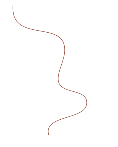 Ligne décorative
