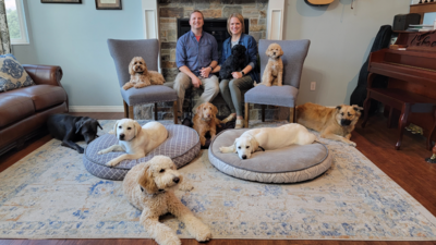 Transformative dog training program, Chaos to Calm