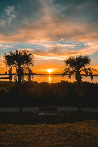 Luxury Charleston travel experiences curated by Kelsey Parry Travel featuring historic mansions, cobblestone streets, and exclusive dining at renowned restaurants