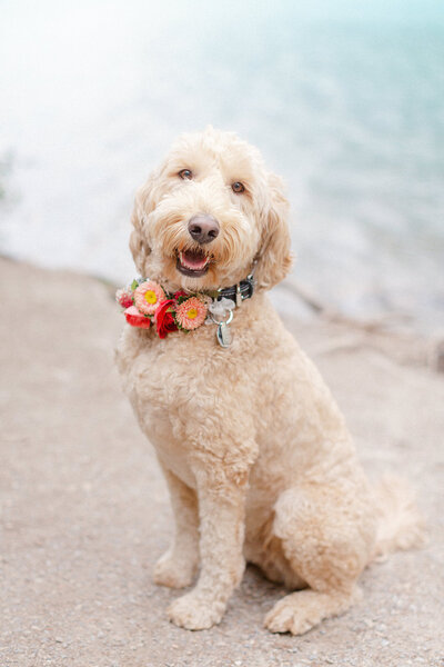 Junophoto_Madeleine_and_Kyle_engagement_session_Moraine_Lake_Banff-037
