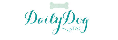 Daily Dog Tag-3