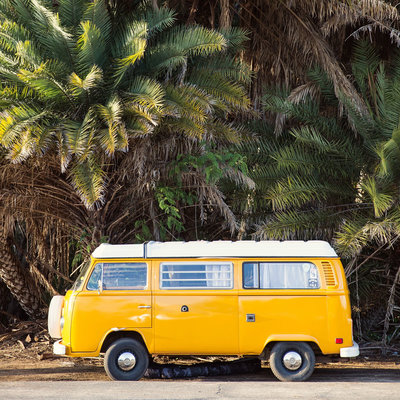 Yellow Volkswagen van in front of palm trees