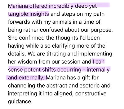 animal communication testimonial
