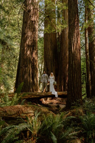 couple walking through trees