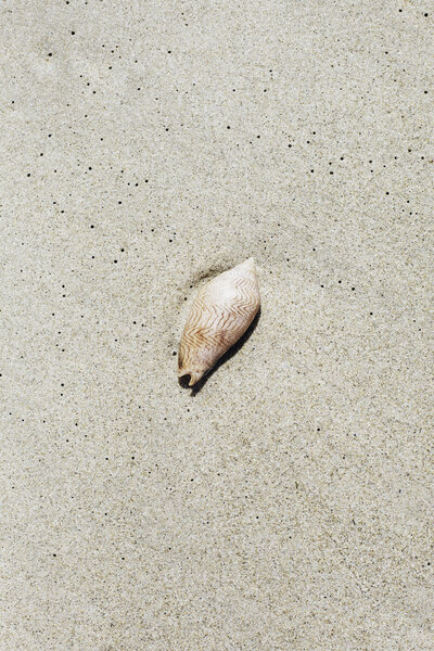 1349082b-61c7-48d3-b1cf-72d27a3a0862