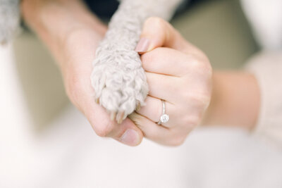 Carly&Pat_TheSassersWeddingPhotography_0009