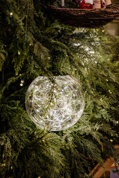 PetesGreenhouseAmarillo-126