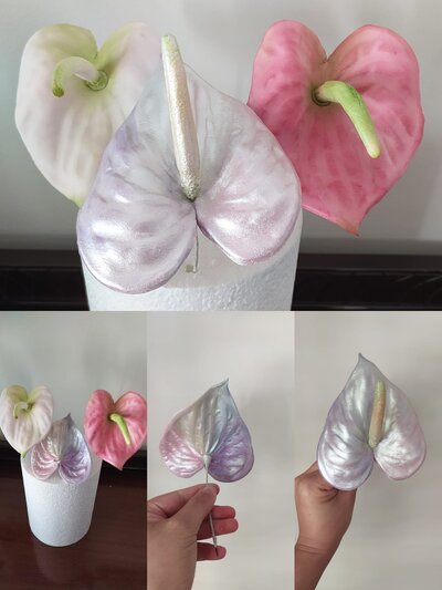 Iridescent Anthurium