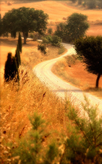 Italy - Tuscany 303 copy