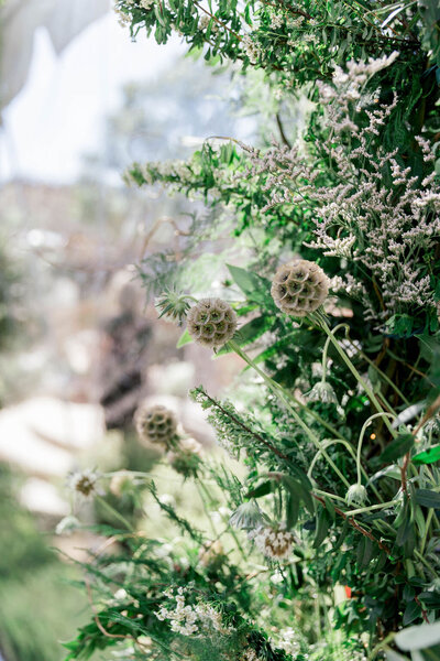 floral design on clear-top tent