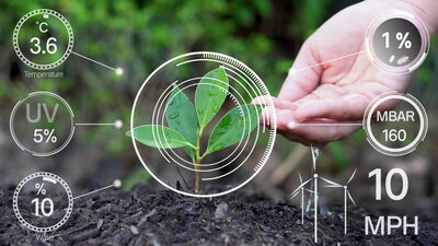 Real-time plant monitoring dashboard for precision growing