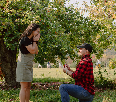 Portfolio | Adventure Elopement Photographer + Intimate Wedding Photographer: Dana Sue Photography