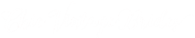 Featured on Chic Vintage Brides wedding blog. 