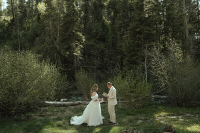 New Mexico Mountain Wedding-23