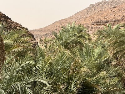 mauritania 8
