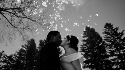 bride and groom kissing under fireworks in round lake mn