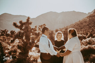 vegas-desert-elopement-jamiey_mountains_mojave_desert_cactus_wedding
